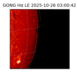 gong - 2025-10-26T03:00:42