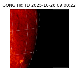 gong - 2025-10-26T09:00:22