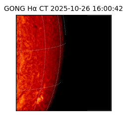 gong - 2025-10-26T16:00:42