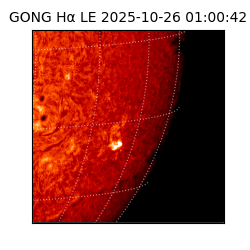 gong - 2025-10-26T01:00:42
