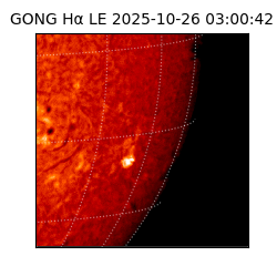 gong - 2025-10-26T03:00:42