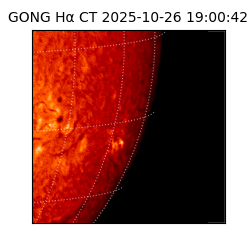 gong - 2025-10-26T19:00:42