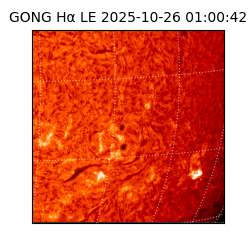 gong - 2025-10-26T01:00:42