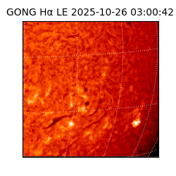 gong - 2025-10-26T03:00:42
