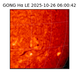 gong - 2025-10-26T06:00:42