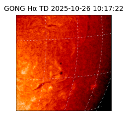 gong - 2025-10-26T10:17:22