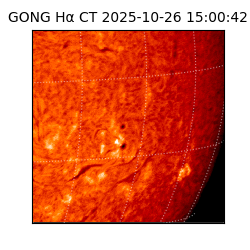 gong - 2025-10-26T15:00:42