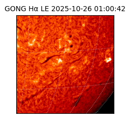 gong - 2025-10-26T01:00:42