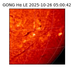 gong - 2025-10-26T05:00:42