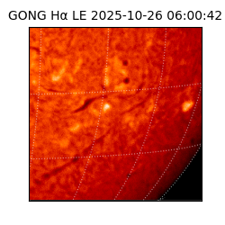 gong - 2025-10-26T06:00:42