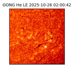 gong - 2025-10-26T02:00:42
