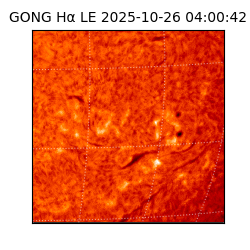 gong - 2025-10-26T04:00:42