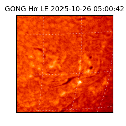 gong - 2025-10-26T05:00:42