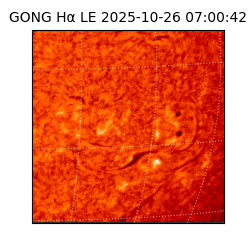 gong - 2025-10-26T07:00:42