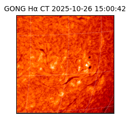 gong - 2025-10-26T15:00:42