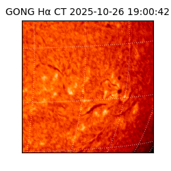gong - 2025-10-26T19:00:42