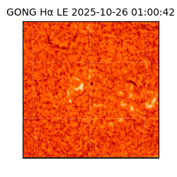 gong - 2025-10-26T01:00:42