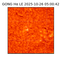 gong - 2025-10-26T05:00:42