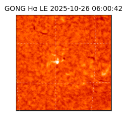 gong - 2025-10-26T06:00:42