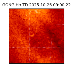 gong - 2025-10-26T09:00:22