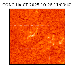 gong - 2025-10-26T11:00:42