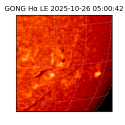 gong - 2025-10-26T05:00:42
