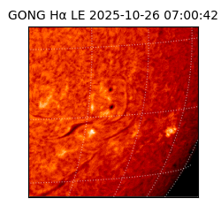 gong - 2025-10-26T07:00:42