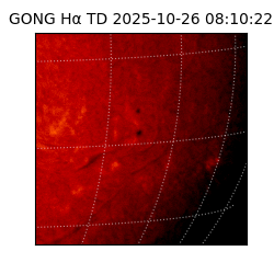 gong - 2025-10-26T08:10:22