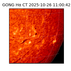 gong - 2025-10-26T11:00:42