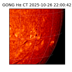 gong - 2025-10-26T22:00:42