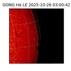 gong - 2025-10-26T03:00:42