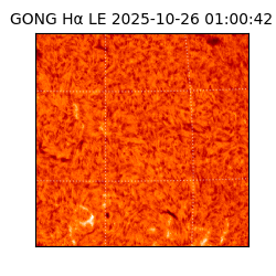 gong - 2025-10-26T01:00:42