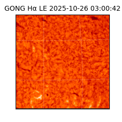 gong - 2025-10-26T03:00:42