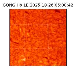gong - 2025-10-26T05:00:42