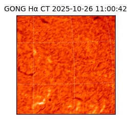 gong - 2025-10-26T11:00:42