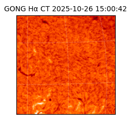 gong - 2025-10-26T15:00:42