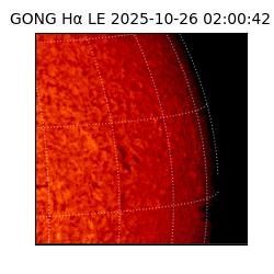 gong - 2025-10-26T02:00:42