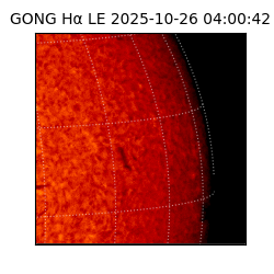 gong - 2025-10-26T04:00:42