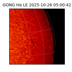 gong - 2025-10-26T05:00:42