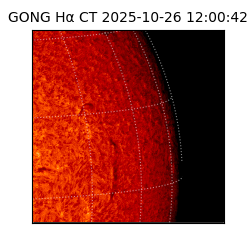 gong - 2025-10-26T12:00:42