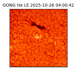 gong - 2025-10-26T04:00:42