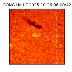 gong - 2025-10-26T06:00:42