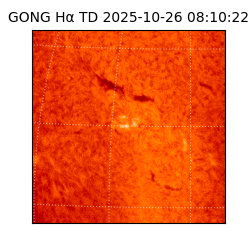 gong - 2025-10-26T08:10:22