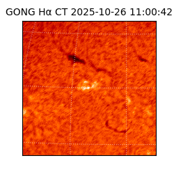 gong - 2025-10-26T11:00:42