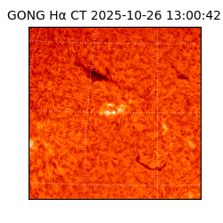 gong - 2025-10-26T13:00:42