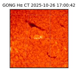 gong - 2025-10-26T17:00:42