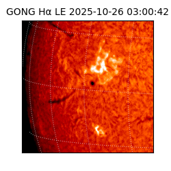 gong - 2025-10-26T03:00:42