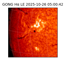 gong - 2025-10-26T05:00:42
