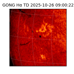 gong - 2025-10-26T09:00:22