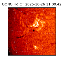 gong - 2025-10-26T11:00:42
